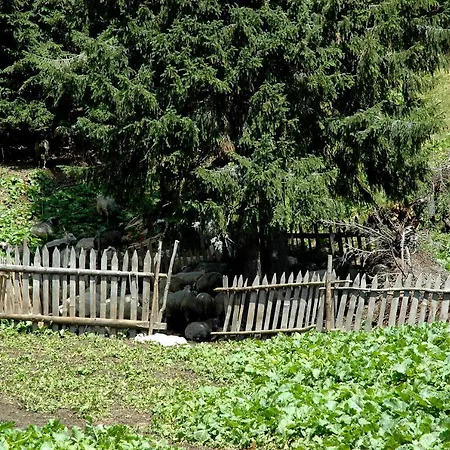 пасторальний дім імені владики мілана Guest house